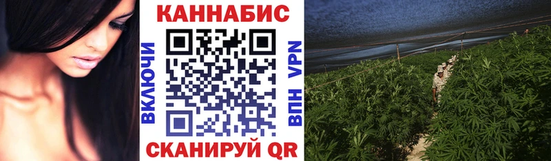 Как найти закладки Куртамыш APVP АМФ Меф ГАШИШ Кокаин