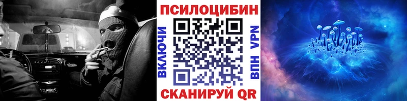 Псилоцибиновые грибы мицелий  ОМГ ОМГ онион  Куртамыш  как найти закладки 