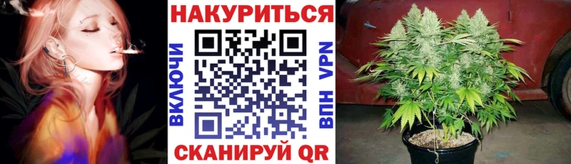 купить наркотики цена  Куртамыш  Бошки Шишки индика 